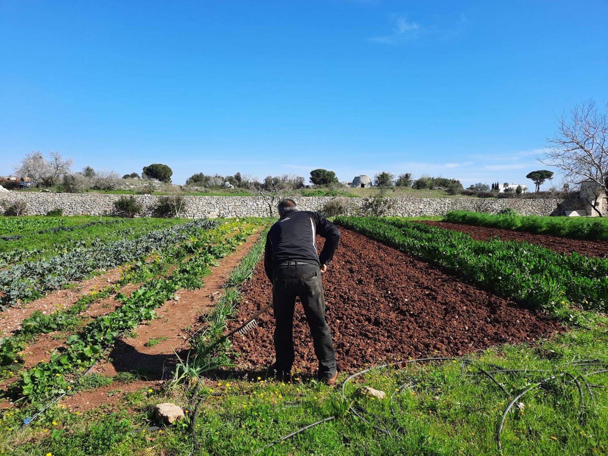 Masseria San Cosimo カルピニャーノ・サレンティーノ エクステリア 写真